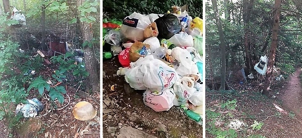 Lago di Tenno: dopo i rifiuti in spiaggia scoperto un immondezzaio anche nei sentieri adiacenti